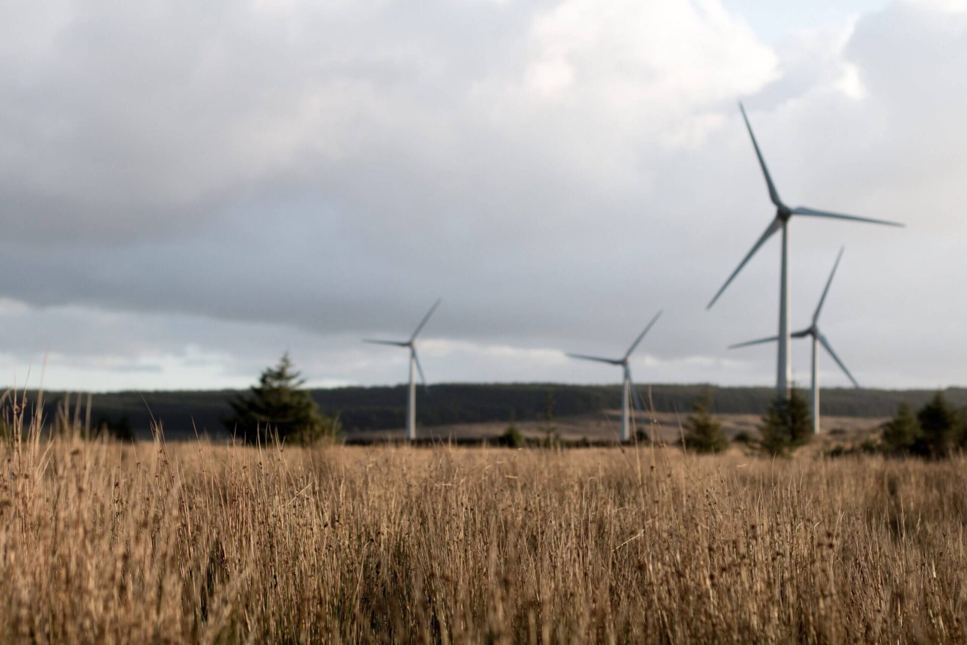 wind energy service
